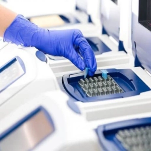HPV Real-time PCR