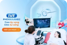 Gói dịch vụ thụ tinh trong ống nghiệm (IVF)