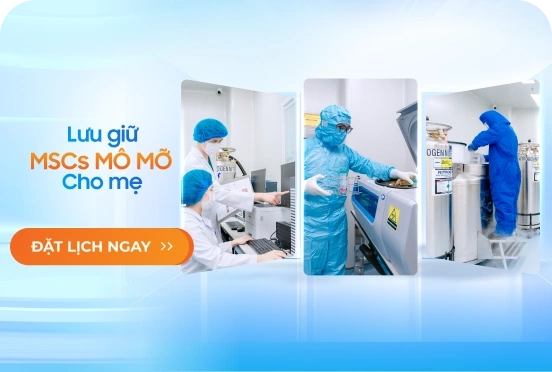 Gói Lưu Giữ MSCs Mô Mỡ Cho Mẹ 