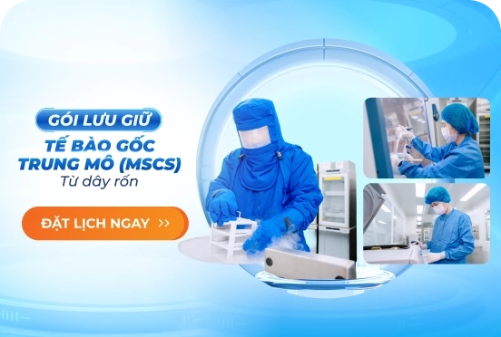 Gói Lưu Giữ Tế Bào Gốc Trung Mô (MSCs) Từ Dây Rốn