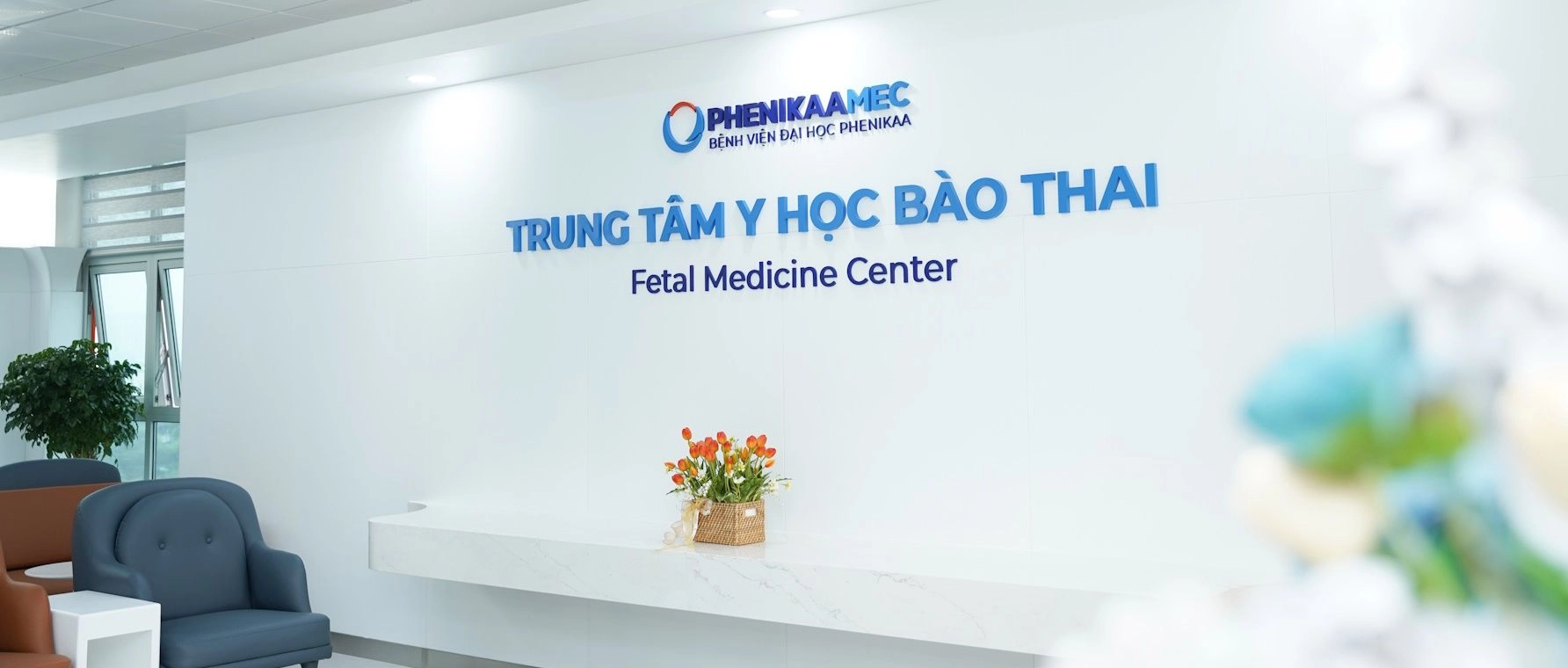 Giới thiệu chung