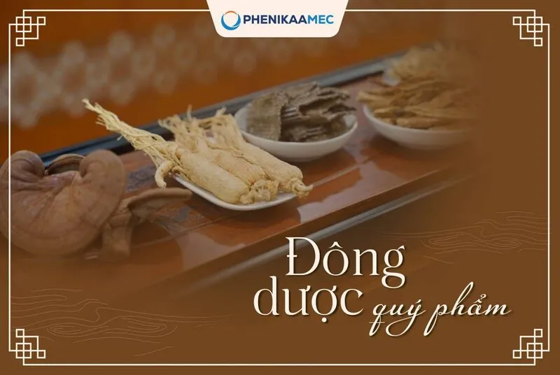 Đông dược quý phẩm – Y học cổ truyền PhenikaaMec