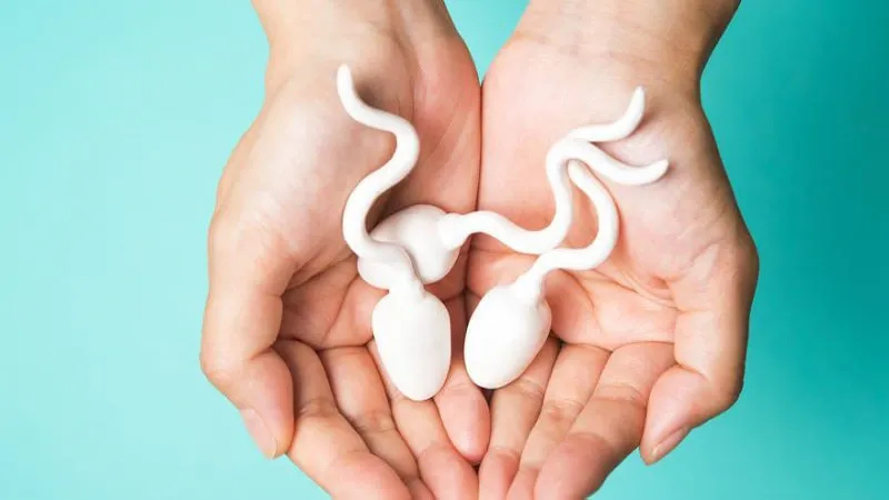 Tinh trùng loãng là gì? Các triệu chứng, nguyên nhân và cách điều trị, phòng ngừa