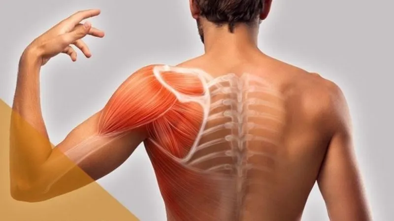 Viêm cơ nhiễm khuẩn là gì? Dấu hiệu, nguyên nhân, chẩn đoán, cách điều trị và phòng bệnh