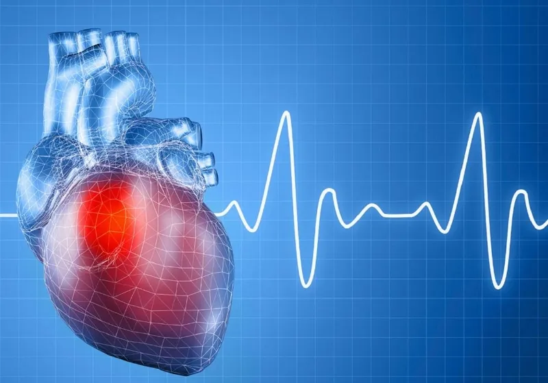 Rối loạn nhịp tim là gì? Dấu hiệu, nguyên nhân, chẩn đoán, cách điều trị và phòng ngừa
