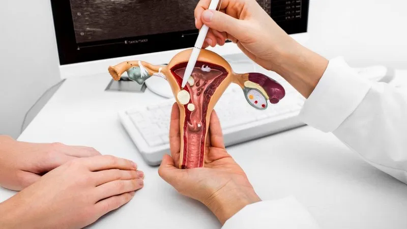 Tắc vòi trứng là gì? Dấu hiệu, nguyên nhân, chẩn đoán, cách điều trị và phòng bệnh