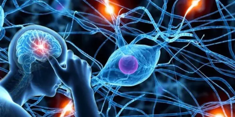 Thoái hóa thần kinh là gì? Dấu hiệu, nguyên nhân, chẩn đoán, cách điều trị và phòng bệnh