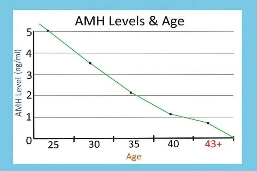 Chỉ số AMH là gì? Khi nào nên xét nghiệm AMH? Địa chỉ thực hiện
