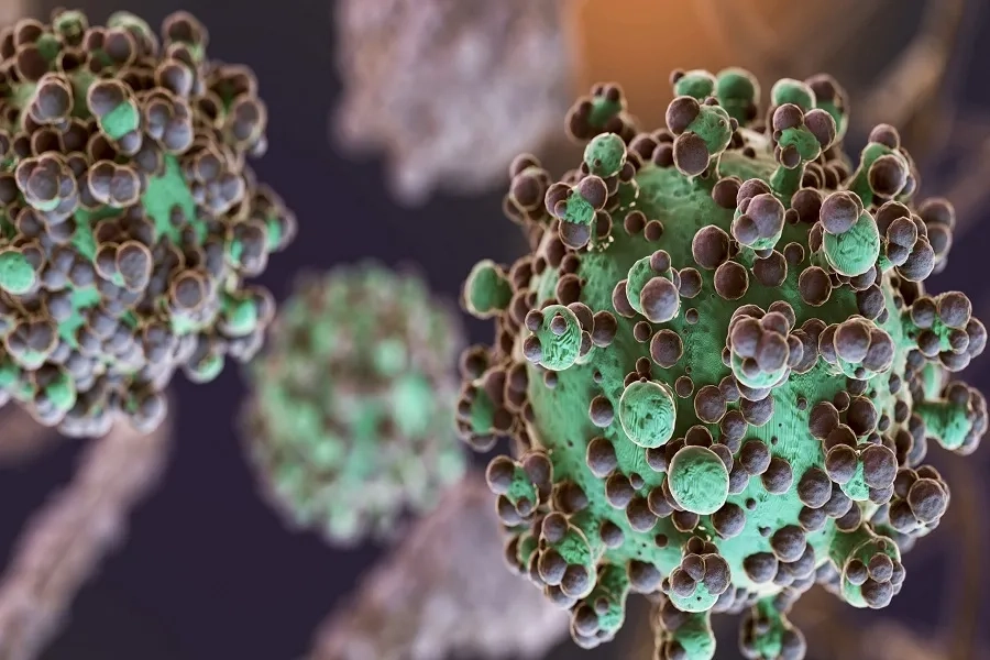 Top 14 type HPV gây ung thư cổ tử cung và biện pháp phòng ngừa tốt nhất 