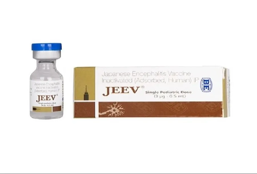 Vắc xin JEEV: Tác dụng, lịch tiêm và đối tượng nên tiêm phòng