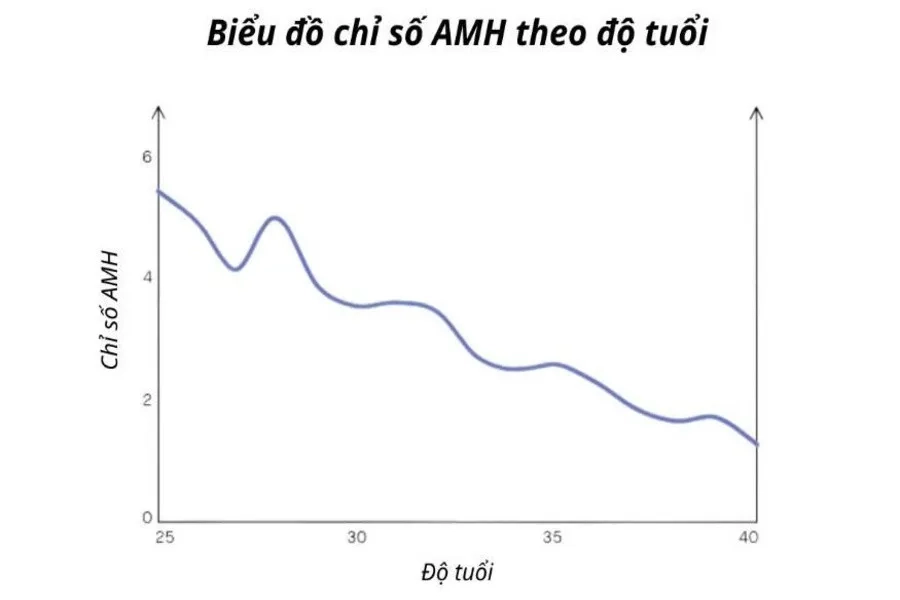 Chỉ số AMH cao là gì? Có thai tự nhiên được không? Chuyên gia giải đáp