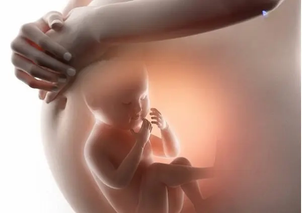 Tràn dịch màng phổi thai nhi là gì? Dấu hiệu, nguyên nhân, chẩn đoán, cách điều trị và phòng bệnh