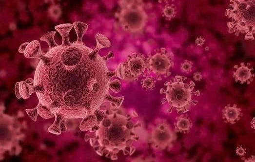 Virus HPV Là Gì? Nguyên Nhân, Dấu Hiệu, Cách Điều Trị Và Phòng Ngừa