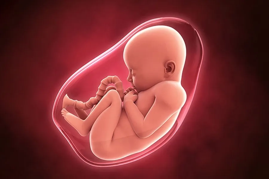 Nhiễm trùng ối khi mang thai: Dấu hiệu, nguyên nhân và cách điều trị