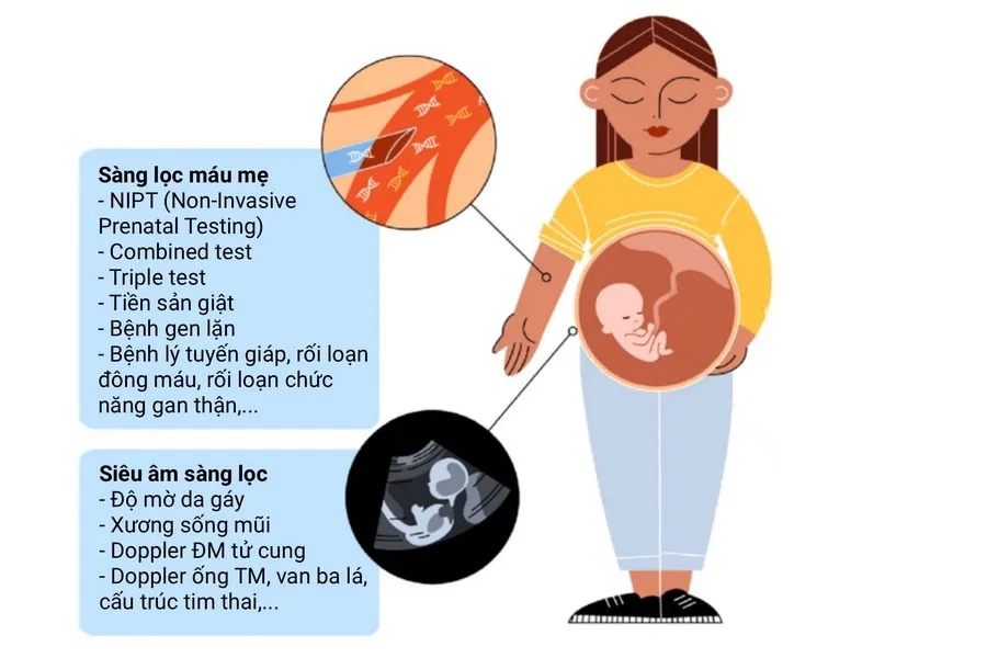 Các Gói Xét Nghiệm Sàng Lọc Trước Sinh: Gợi Ý Chi Phí, Chi Tiết Xét Nghiệm Và Địa Chỉ Thực Hiện