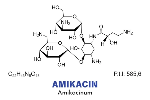 Amikacin