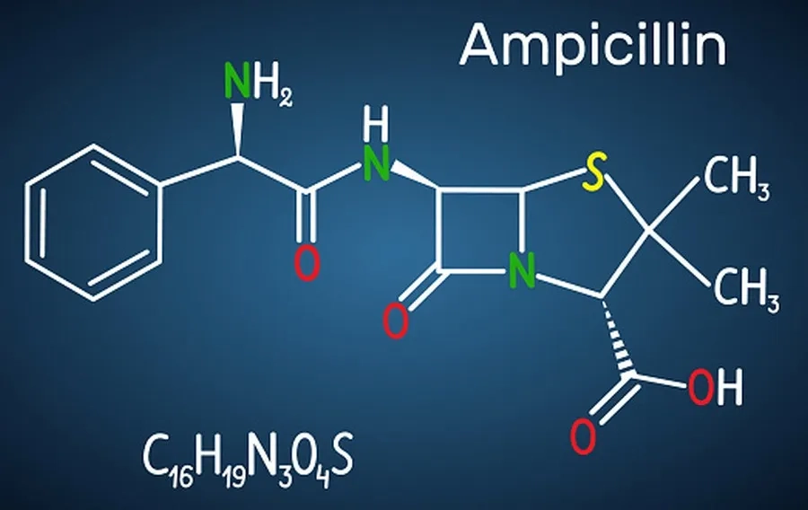 Ampicillin