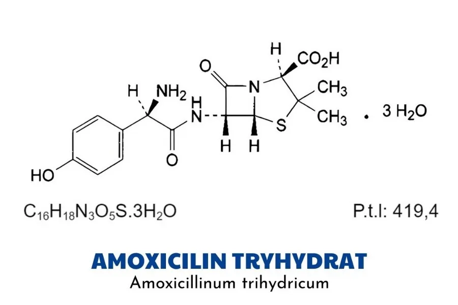 Amoxicillin