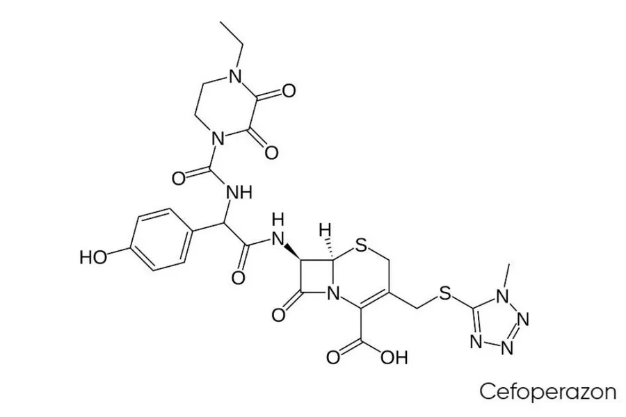 Cefoperazon/ Sulbactam