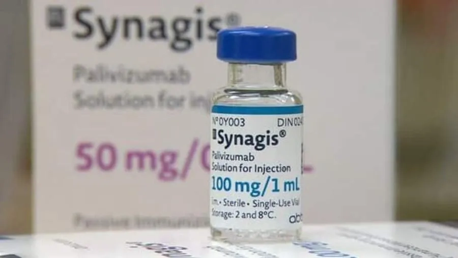 Kháng thể Palivizumab giúp ngăn cản virus xâm nhập vào tế bào đường hô hấp