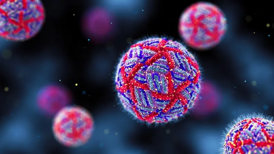 Nguyên nhân trực tiếp gây bệnh là virus Dengue