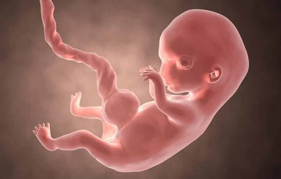 Sàng lọc sớm giúp phát hiện nguy cơ dị tật và bất thường di truyền, từ đó bảo vệ tốt hơn sức khỏe thai nhi