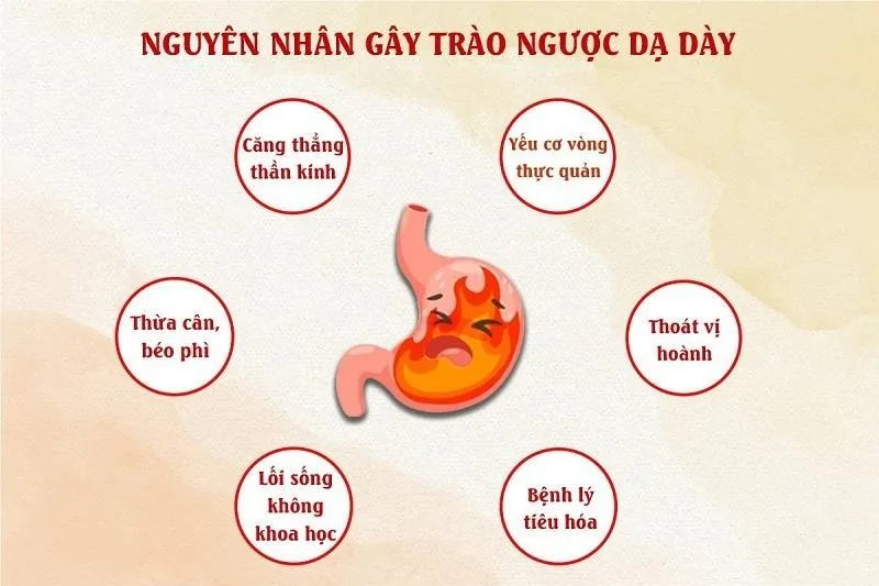 Trào ngược dạ dày bắt nguồn từ lối sống và bệnh lý của người bệnh