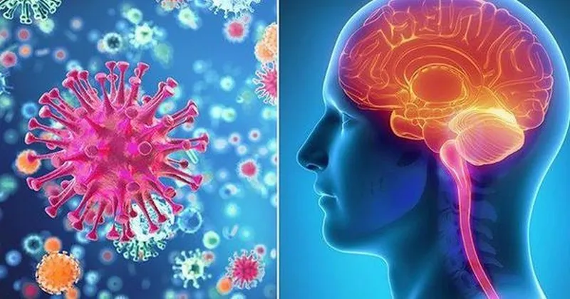 Viêm màng não vô khuẩn không do nhiễm vi khuẩn mà chủ yếu do nhiễm virus