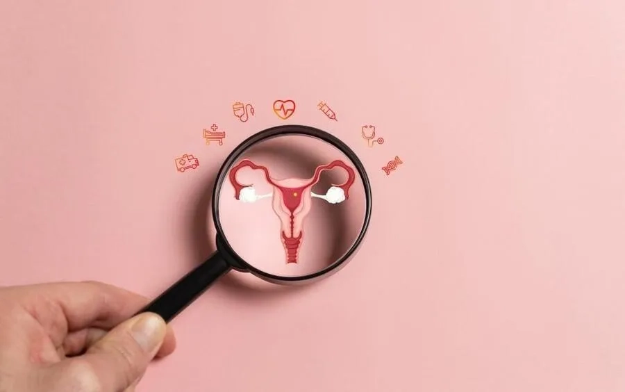 Khả năng sinh sản nữ chịu ảnh hưởng bởi tuổi tác và nhiều yếu tố sức khỏe khác nhau