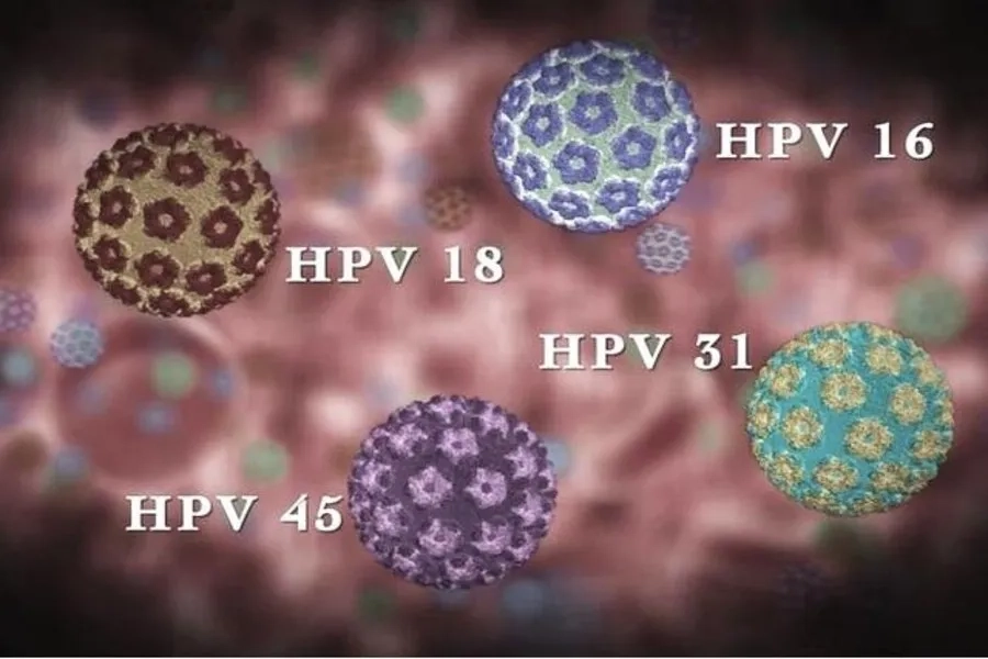 HPV tuýp 16, 18 là nguyên nhân hàng đầu gây ung thư cổ tử cung ở nữ giới và một số căn bệnh ung thư ở nam giới