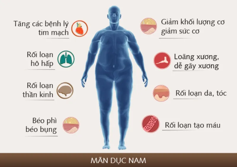 Mãn dục nam tăng nguy cơ mắc một số bệnh lý ảnh hưởng đến sức khỏe