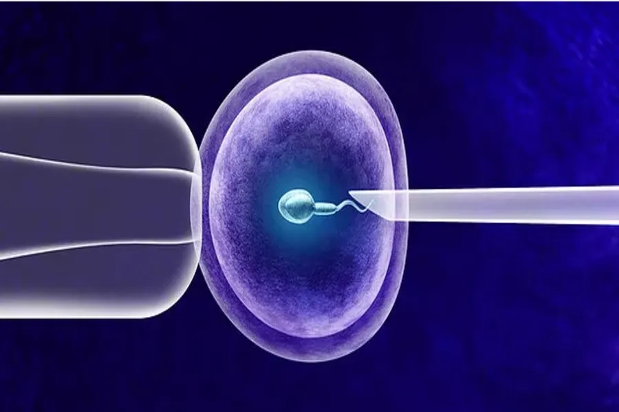 IVF mang lại giải pháp giúp các cặp vợ chồng vô sinh - hiếm muộn tăng cơ hội thụ thai