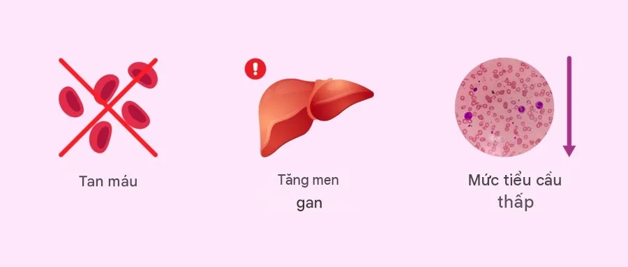 Hội chứng HELLP gây tổn thương gan, tan máu và giảm tiểu cầu nghiêm trọng 