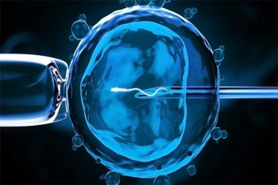 Thai IVF là thai được hình thành nhờ kỹ thuật thụ tinh trong ống nghiệm