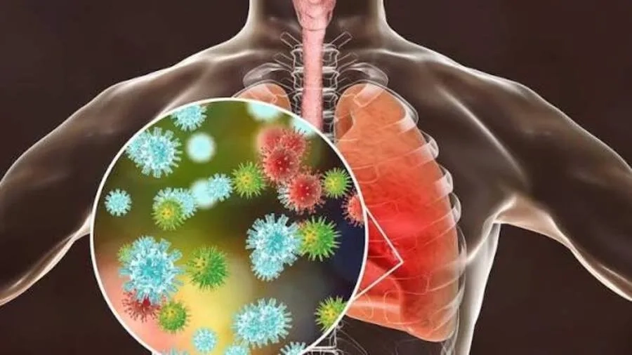 Virus gây viêm và tổn thương nhu mô phổi, ảnh hưởng đến quá trình trao đổi khí