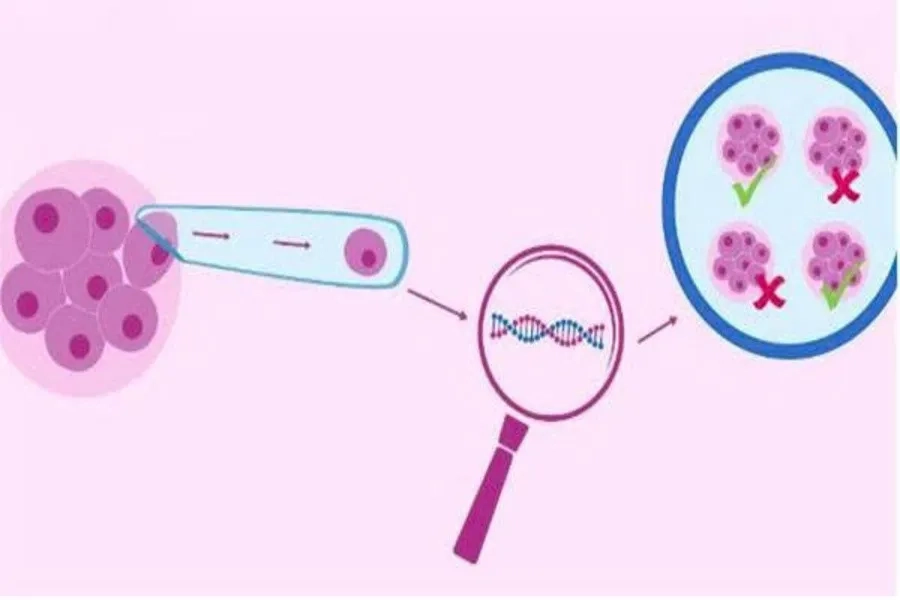Xét nghiệm di truyền phôi giúp chọn lọc phôi khỏe mạnh, giảm nguy cơ mắc bệnh di truyền và tăng cơ hội thụ thai khi thực hiện IVF