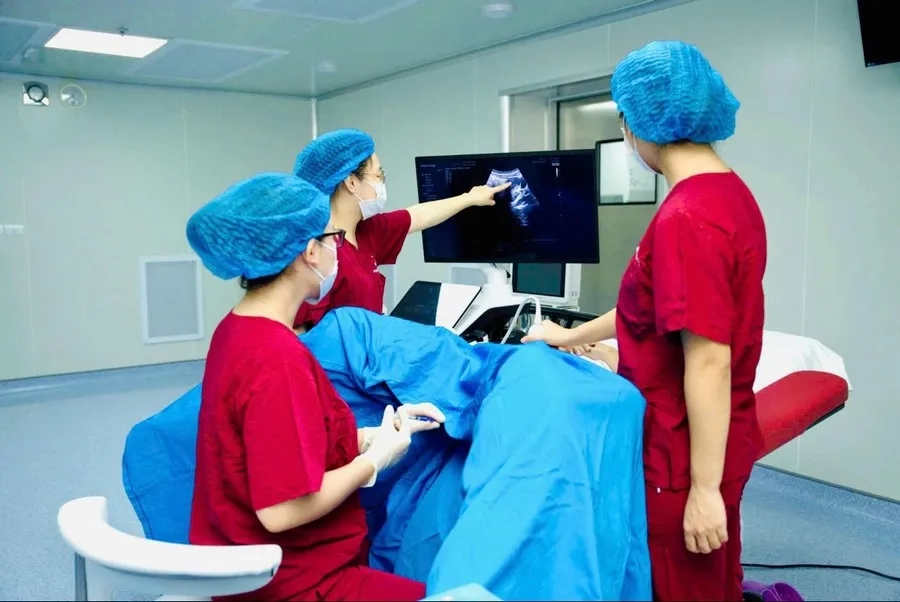 Chuyển phôi được thực hiện bởi chuyên gia dưới hướng dẫn siêu âm