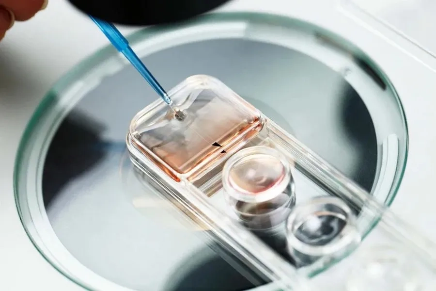 Kỹ thuật rã đông phôi thủy tinh hoá giúp phôi phục hồi tới 100%