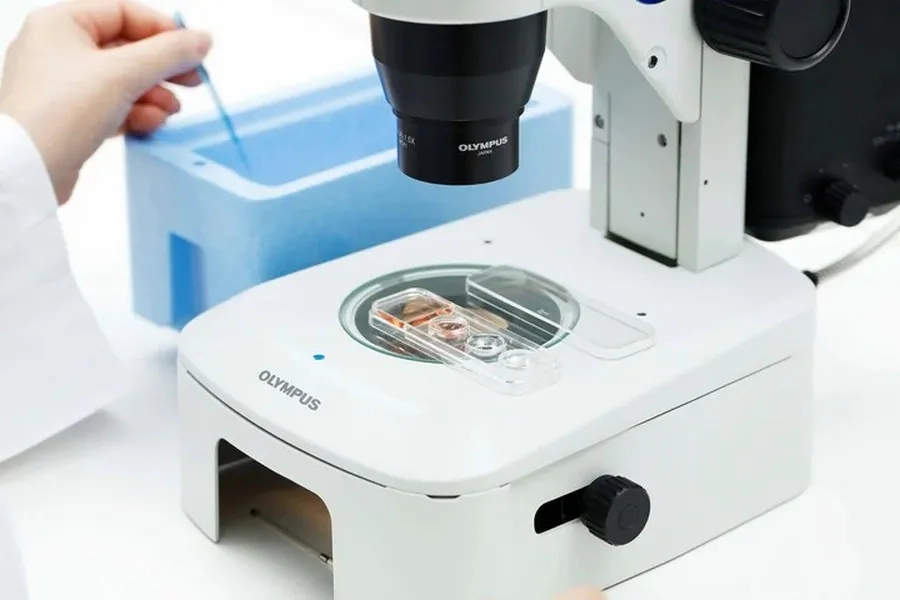 Rã đông phôi trong phòng lab thụ tinh trong ống nghiệm