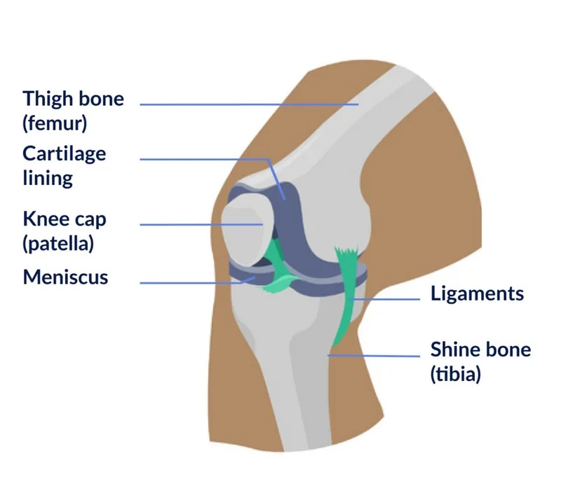 Các khớp xương kêu lục cục tình trạng nặng có thể cần can thiệp phẫu thuật