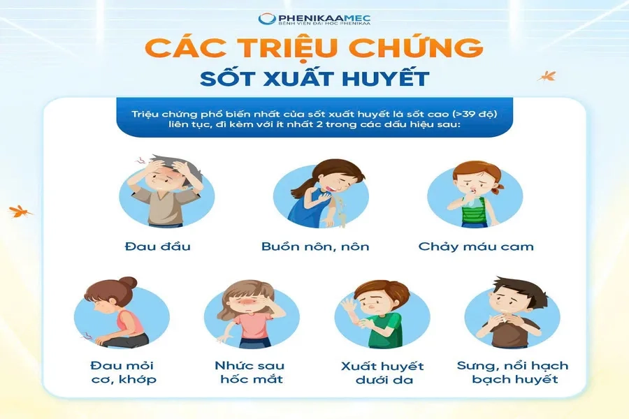 Một số triệu chứng sốt xuất huyết phổ biến thường gặp
