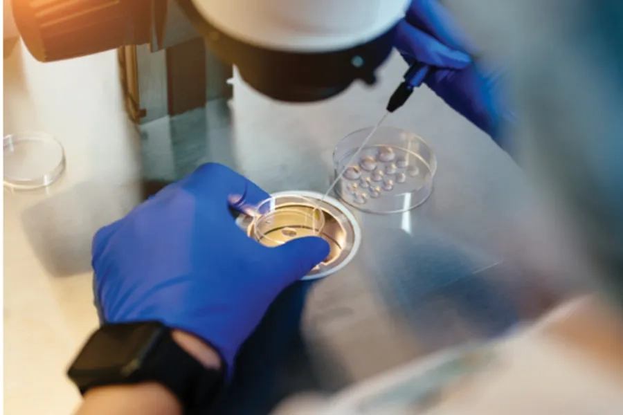 Chuyên gia phôi học lựa chọn tinh trùng khỏe mạnh tăng cơ hội thụ thai
