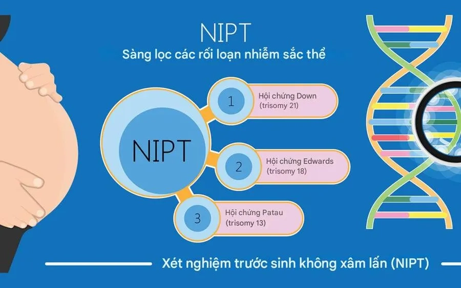Xét nghiệm NIPT không xâm lấn an toàn cho mẹ bầu