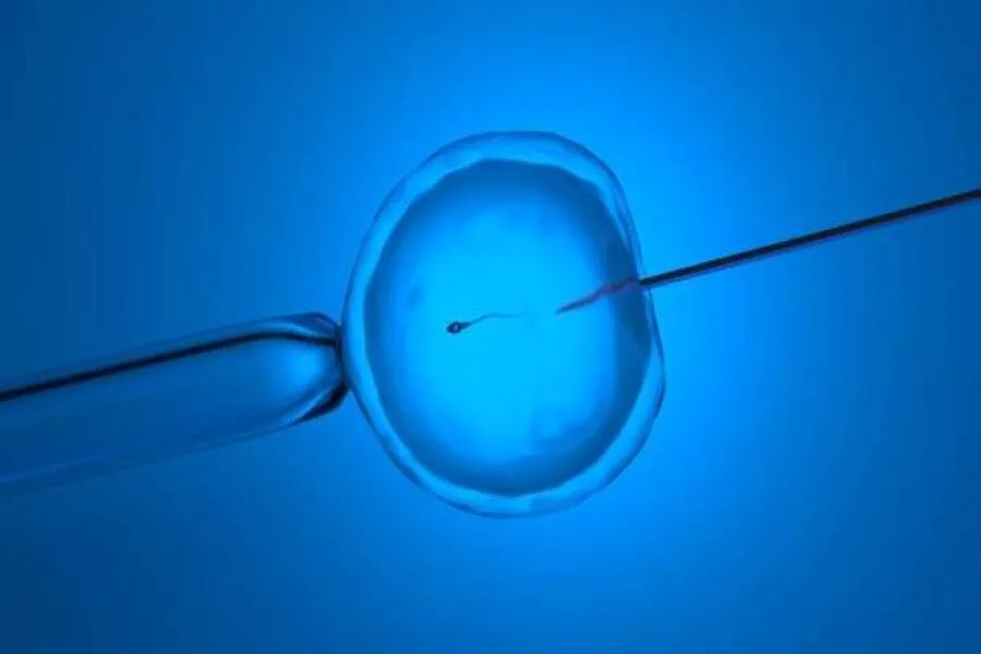 Kỹ thuật IVF giúp tinh trùng và trứng thụ tinh để tạo thành phôi trong phòng Lab