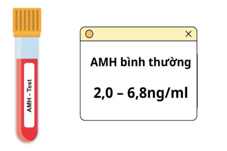 AMH thấp là chỉ số dưới mức bình thường cho thấy buồng trứng đang “lão hóa”