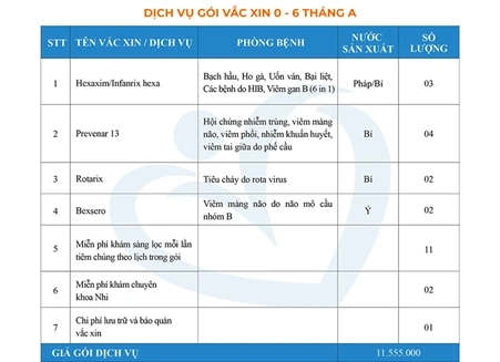 Gói vắc xin cho trẻ từ 0 - 6 tháng tuổi A 1 (Rotarix, Hexaxim)