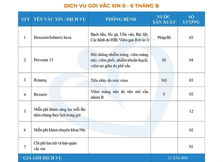 Gói tiêm chủng 0 - 6 tháng B
