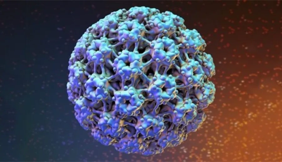 Virus HPV là nguyên nhân quan trọng nhất gây loạn sản