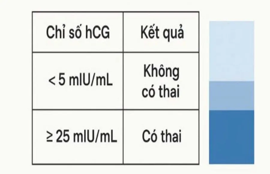 Kết quả chỉ số beta hCG > 25 IU/mL cho thấy bạn đã mang thai