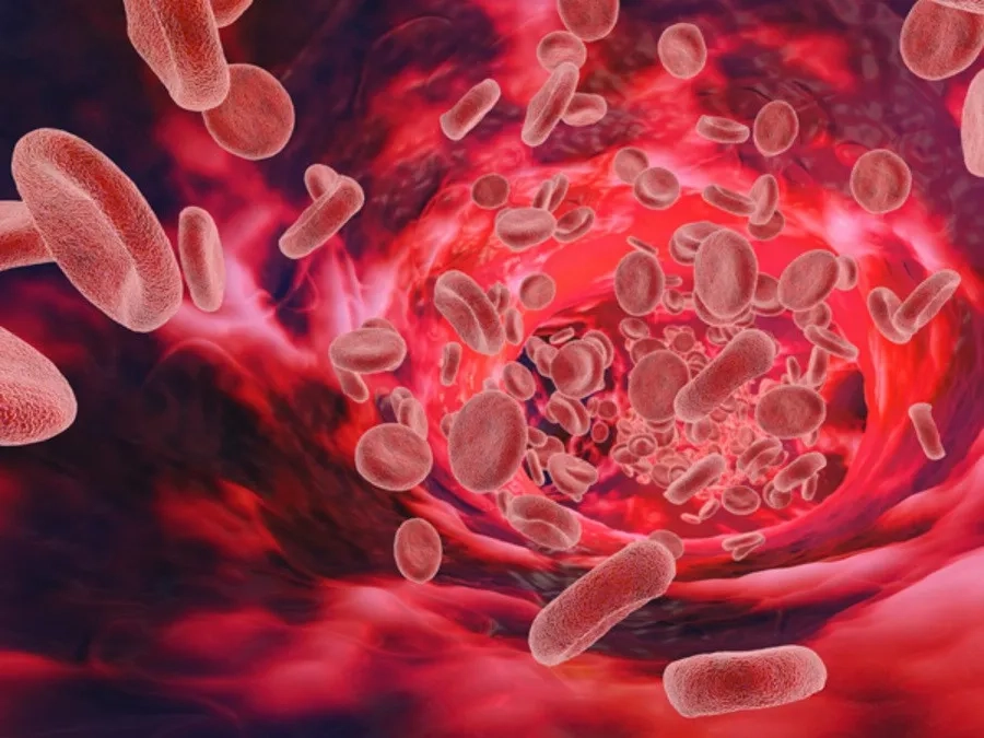 Máu khó đông Hemophilia A và B là hai rối loạn đông máu di truyền thường gặp